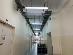 Ubi 55 (D14), Factory #523665451